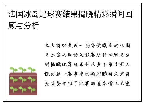 法国冰岛足球赛结果揭晓精彩瞬间回顾与分析